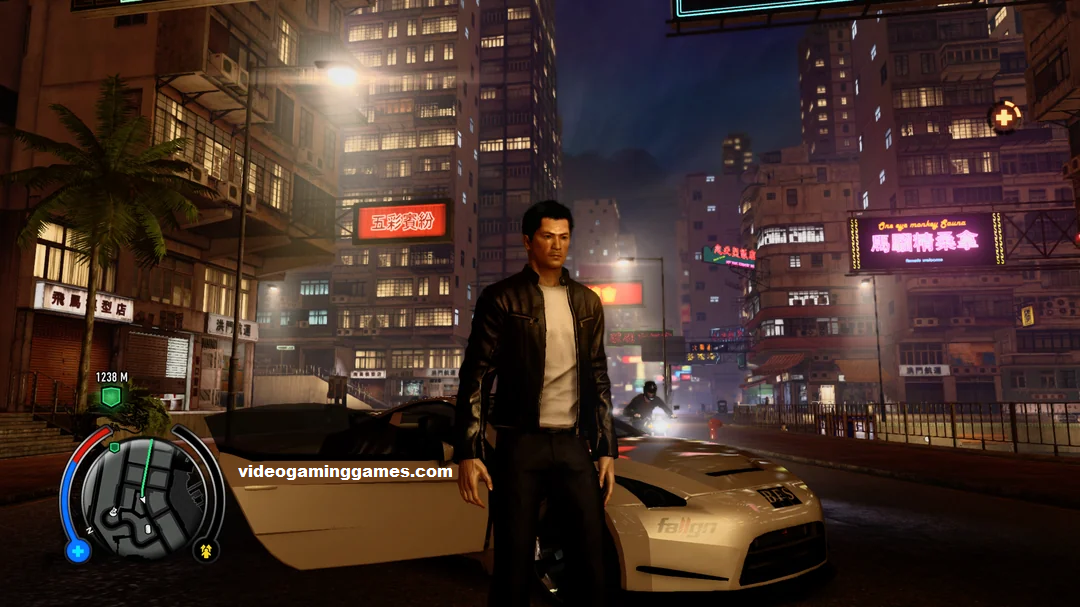 Sleeping Dogs Pc Download Development and Release